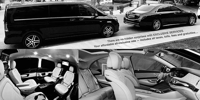 Chauffeur Services (3 hours)